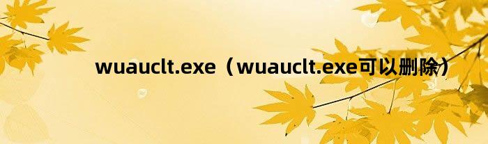 wuauclt.exe（wuauclt.exe可以删除）