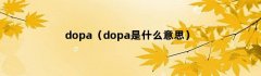 dopa（dopa是什么意思）