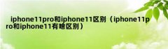 iphone11pro和iphone11区别（iphone11pro和iphone11有啥区别）